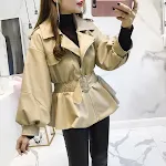 Apricot
