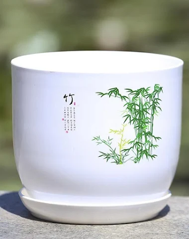 Image product - 3