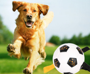 Title 5, Outdoor Training Interactive Rope Football Impr...