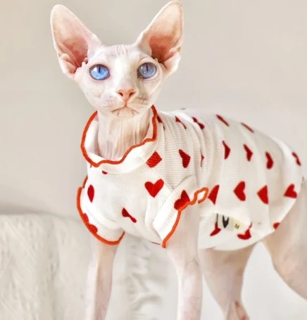 Title 5, Summer Thin Sleeveless Vest Cat Clothing Lightw...