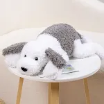 50cm