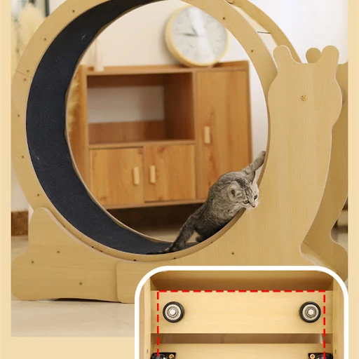 Title 3, Mute Turntable of Cat Treadmill Bodybuilding. Q...