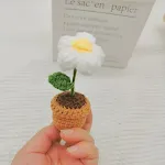 Puff flower