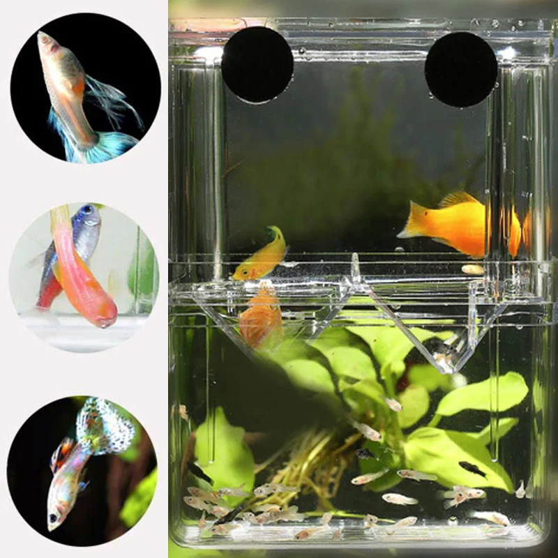 Title 3, Aquarium Fish Breeder Box High Clear Double Hat...