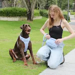 miniatures image - 28