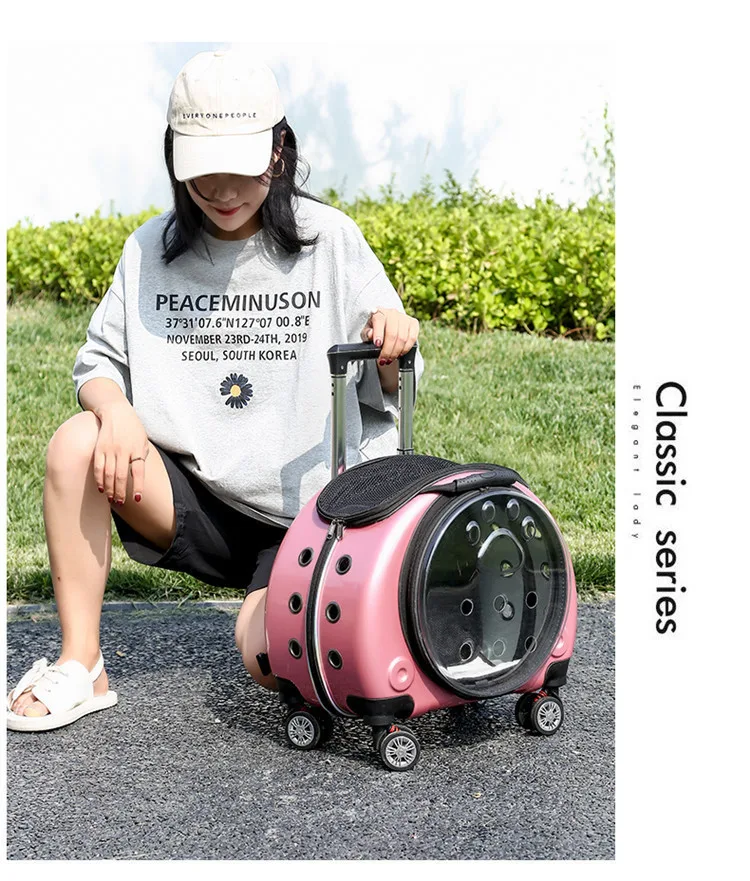 Title 54, Small Handbag Cats Carriers Transportin Outdoor...