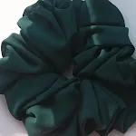 31Color