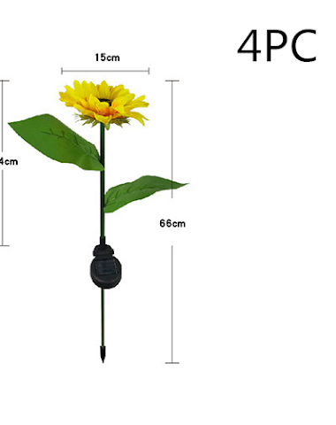 Image product - 3