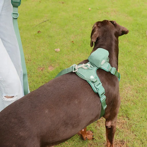 Title 3, Chest And Back Dog Backpack Suit for Comfortabl...