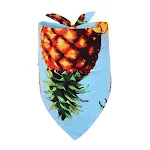 Blue Pineapple