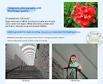 miniatures image - 16