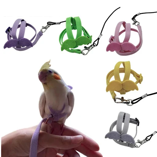 product image - 4