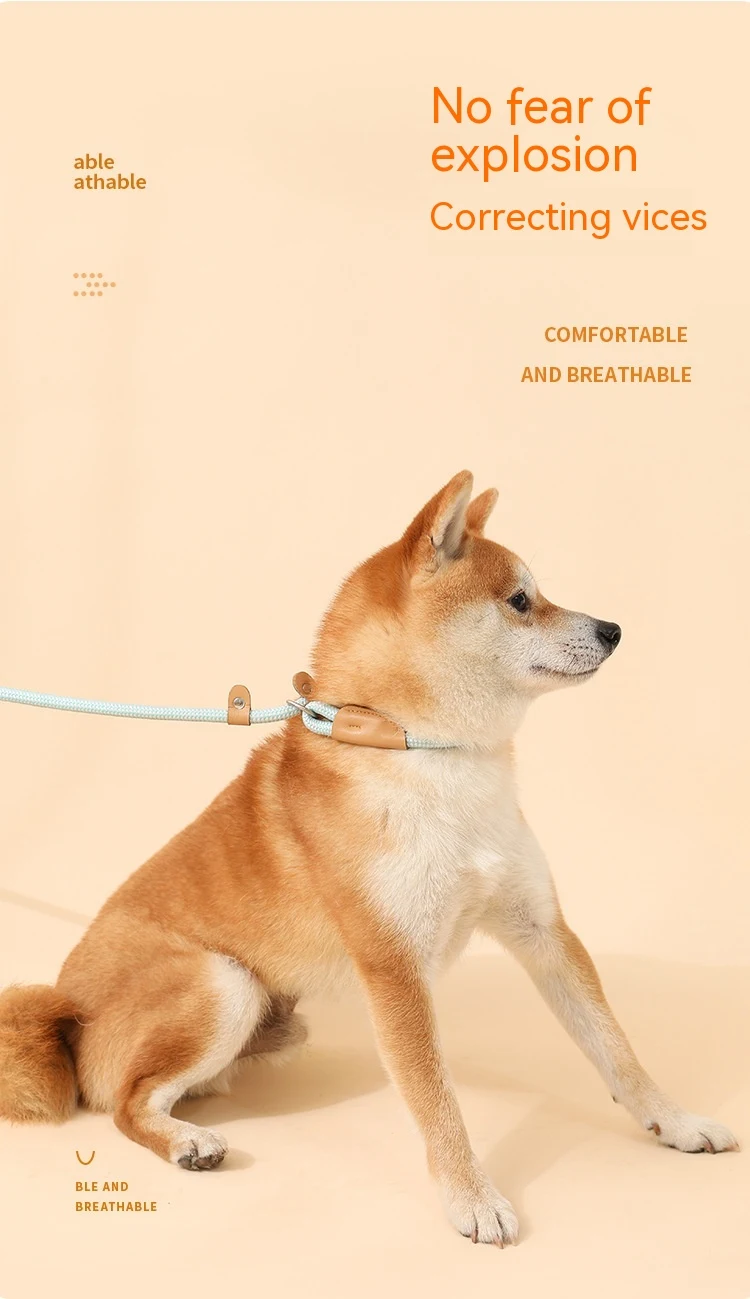 product image - 16