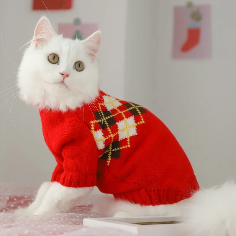 Title 4, Kitten Autumn and Winter Sweater Prevents Hair ...