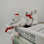 Polar bear