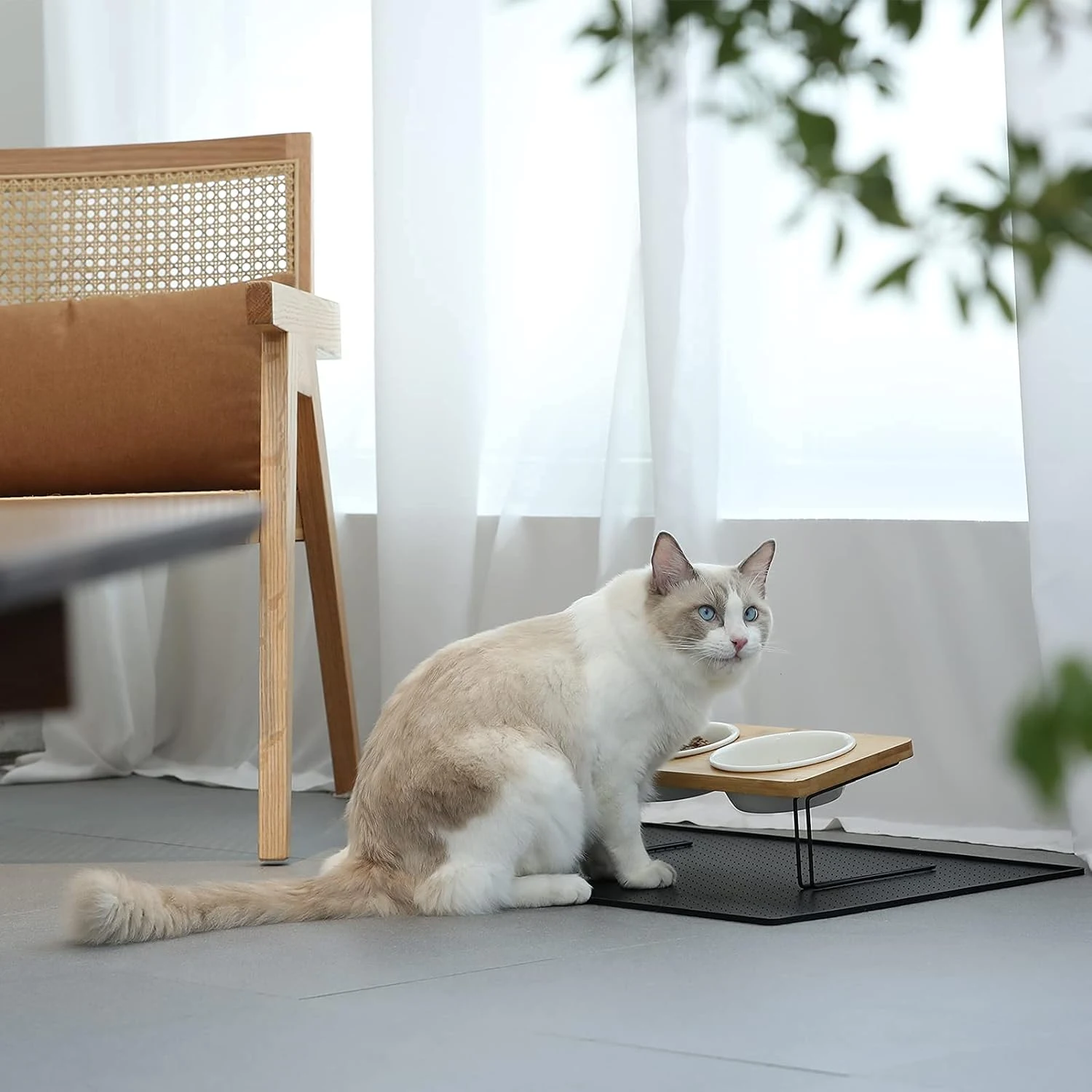 Small Dog Tilted Ceramic Bowl Set with Bamboo Stand, Elevated Water and Food Feeder, Improved Eating Posture — photo 2