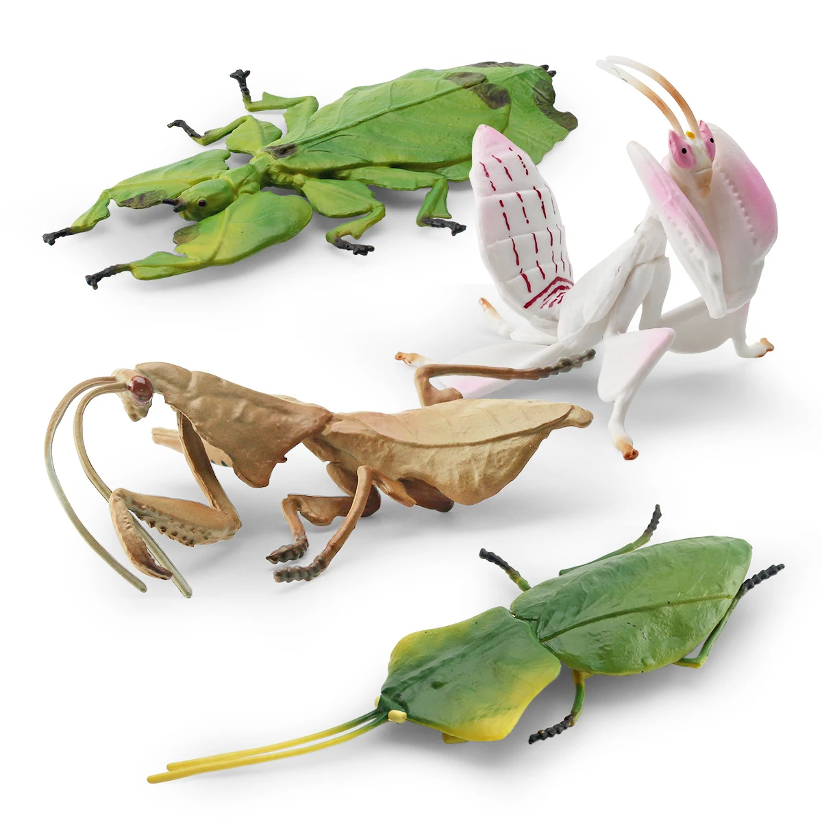 Enfeite Modelo de Inseto Mantis Sishi Leaf para Decoração Animal, Perfeito para Colecionadores e Adornos Naturais e Criativos — foto 1