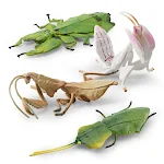 Enfeite Modelo de Inseto Mantis Sishi Leaf para Decoração Animal, Perfeito para Colecionadores e Adornos Naturais e Criativos — foto 1