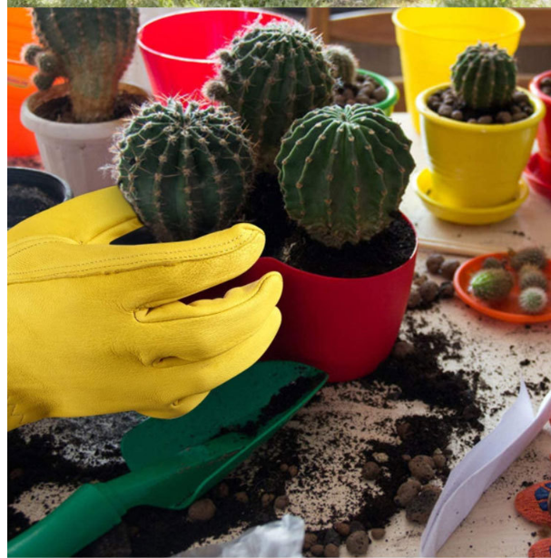 product image - 0