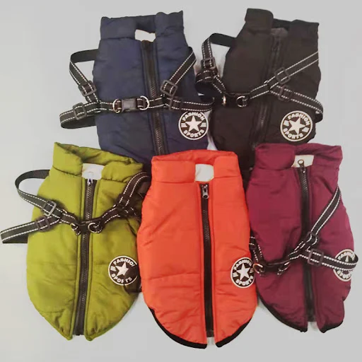Title 2, Simple and creative autumn and winter clothes f...