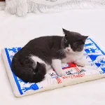 miniatures image - 10