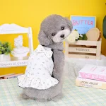 New Puppy Teddy Small Dog Skirt Pet Clothes, adorable and cute design, comfortable and stylish, perfect for puppies, gre — photo 6