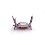 miniatures image - 1