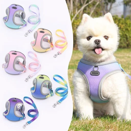 Dog Harness Leash Set for Small Dogs Polyester Adjustable Puppy Cat Harness Vest Outdoor Walking Dog Leash Pet Accessori — photo 1