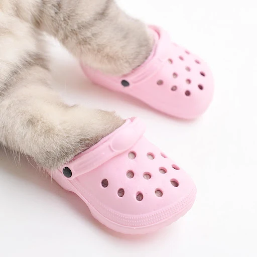 Title 2, Zapatos para Perros de Verano con Personalidad ...