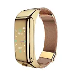 Golden steel belt
