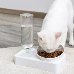 miniatures image - 2