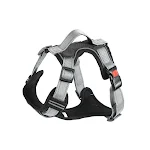 Dog Hand Holding Rope Vest Chest Strap Secure Walks and Enhanced Control Comfortable Harness Design for Dogs — photo 13