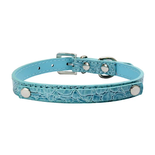 Title 19, DIY Collar con Letras para Perros Personalizabl...