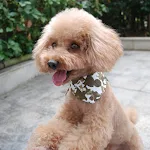 Coleira receptora para cerca invisível para cães e gatos, mantenha seu pet seguro. Limites definidos sem barreiras físicas, fácil de configurar e usar. — foto 2