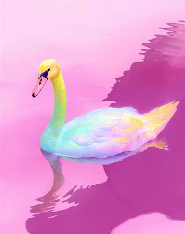 Image product - 0