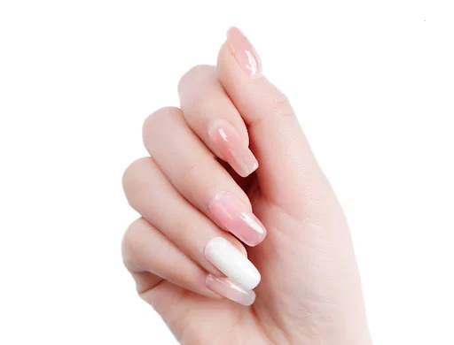 Title 9, Nail art quick extending kit with bottom sealin...