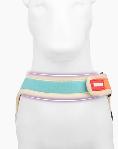 Image product - 1