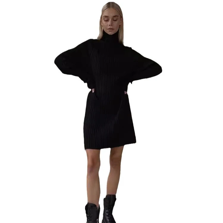 Long Sleeve Turtleneck Sweaters Dress — photo 1