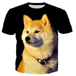 1 Style