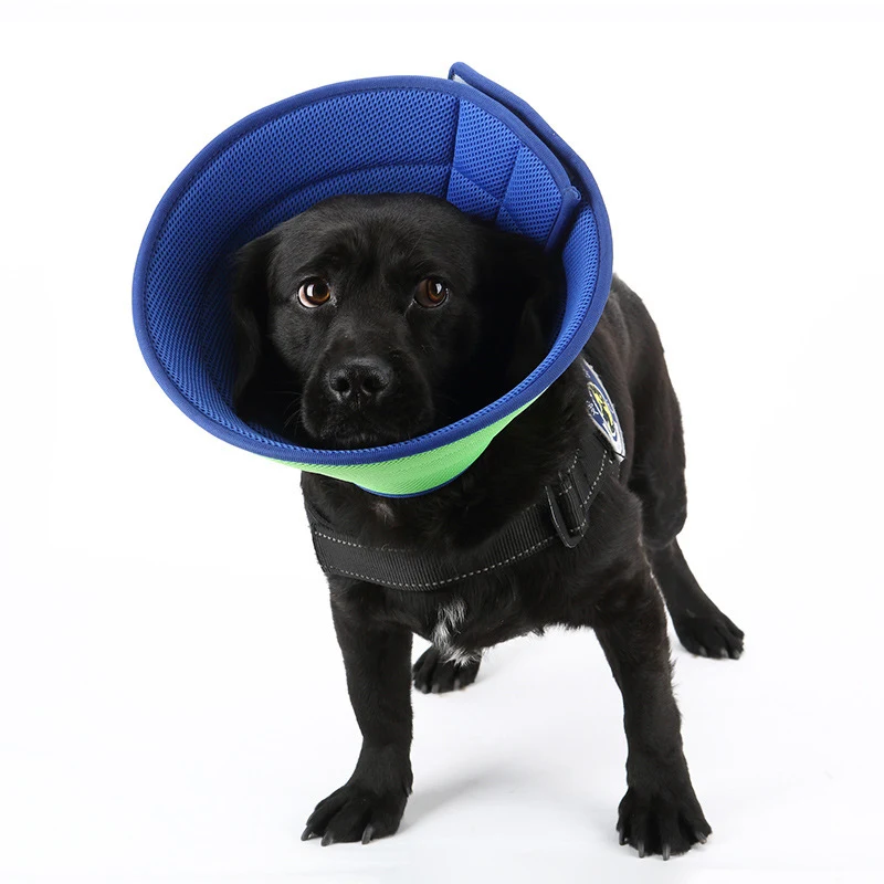 product image - 11
