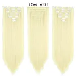 SC66613