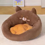 Brown bear