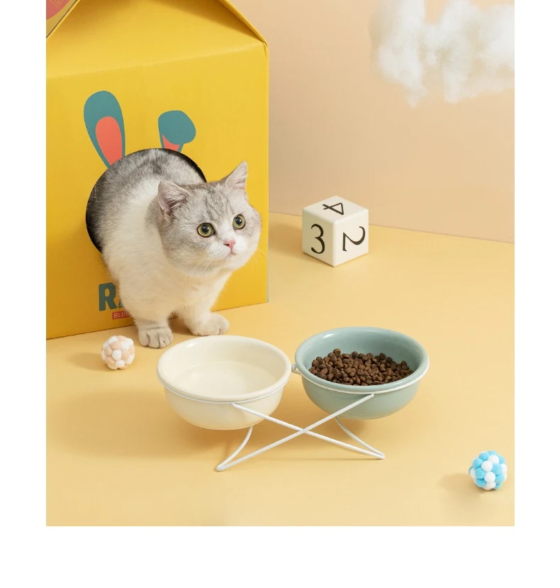 Title 9, Ceramic Double Cat Bowl, Food and Water Basin, ...