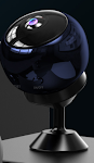 Dumb black