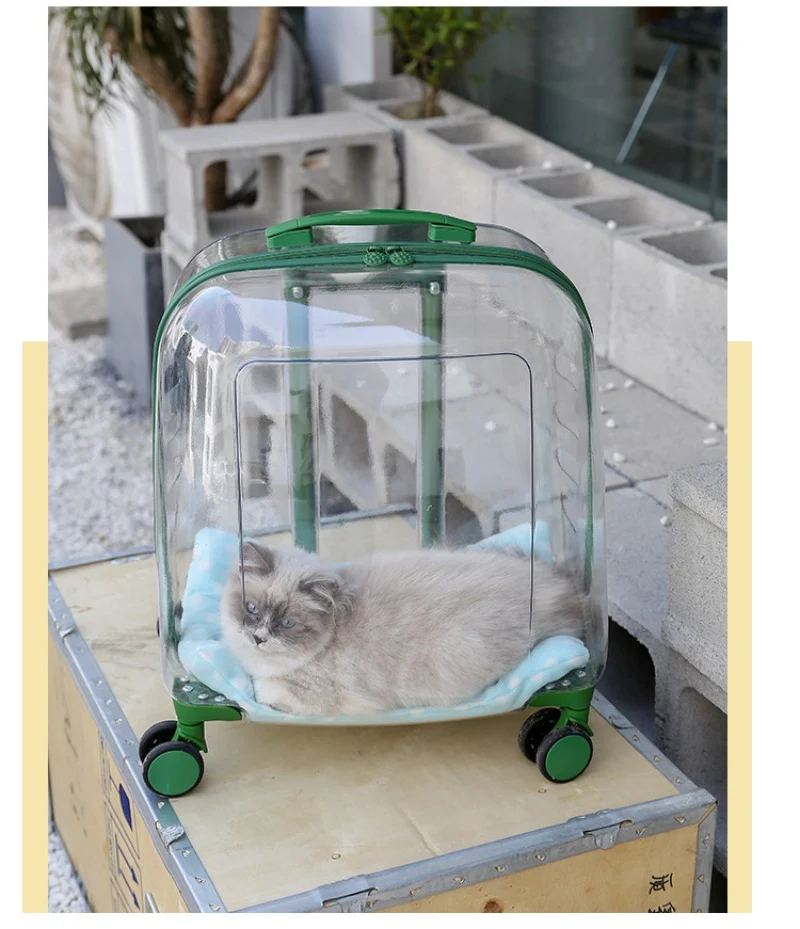 Title 24, Transparent Cat Luggage Trolley Case Portable B...