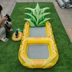 Yellow pineapple