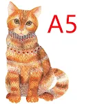 House cat A5
