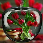 70x70cm