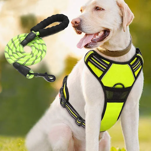 Title 5, Adjustable Chest Strap Outdoor Dog Pet Harness....