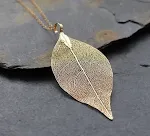 KC gold